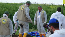 Fotoğraflarda: Sincar'daki Koco'da toplu mezarlarının kazılması